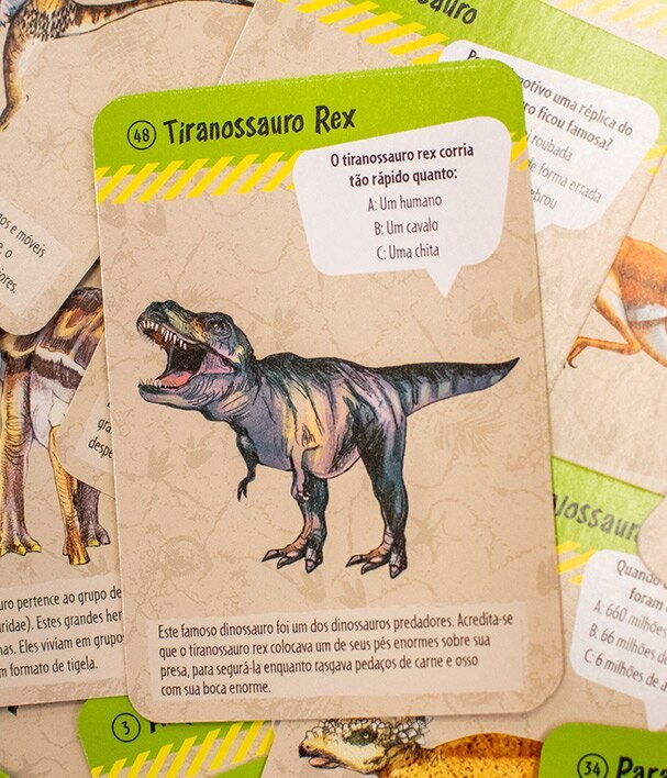 Jogo Dinossauros Raio X - Jogos Científicos - Compra na